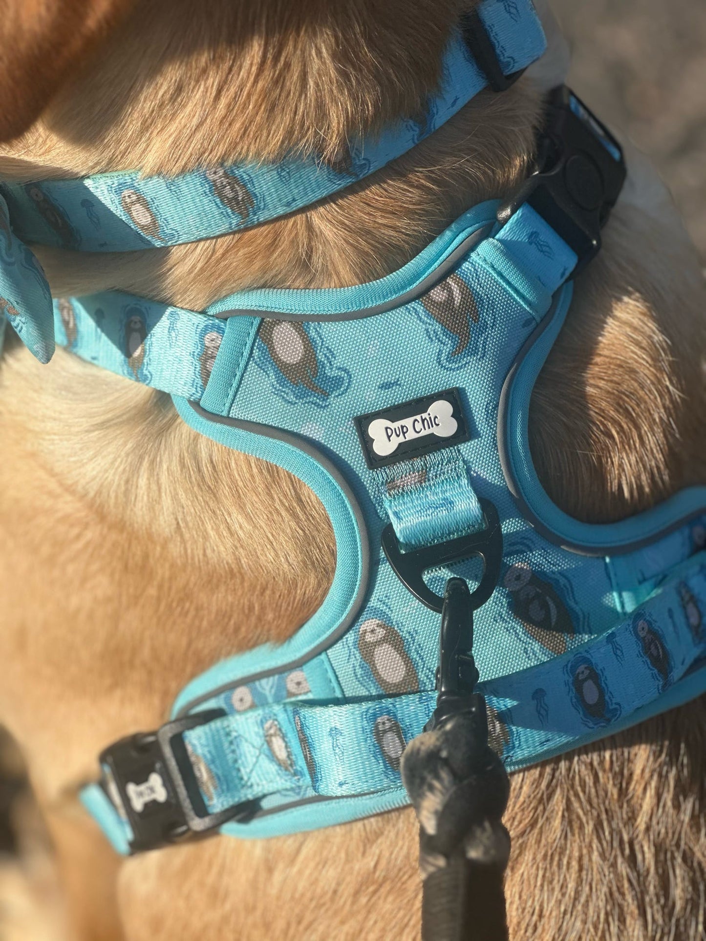 Otterly Lovely Tactical Dog Harness – No Pull & Fully Adjustable