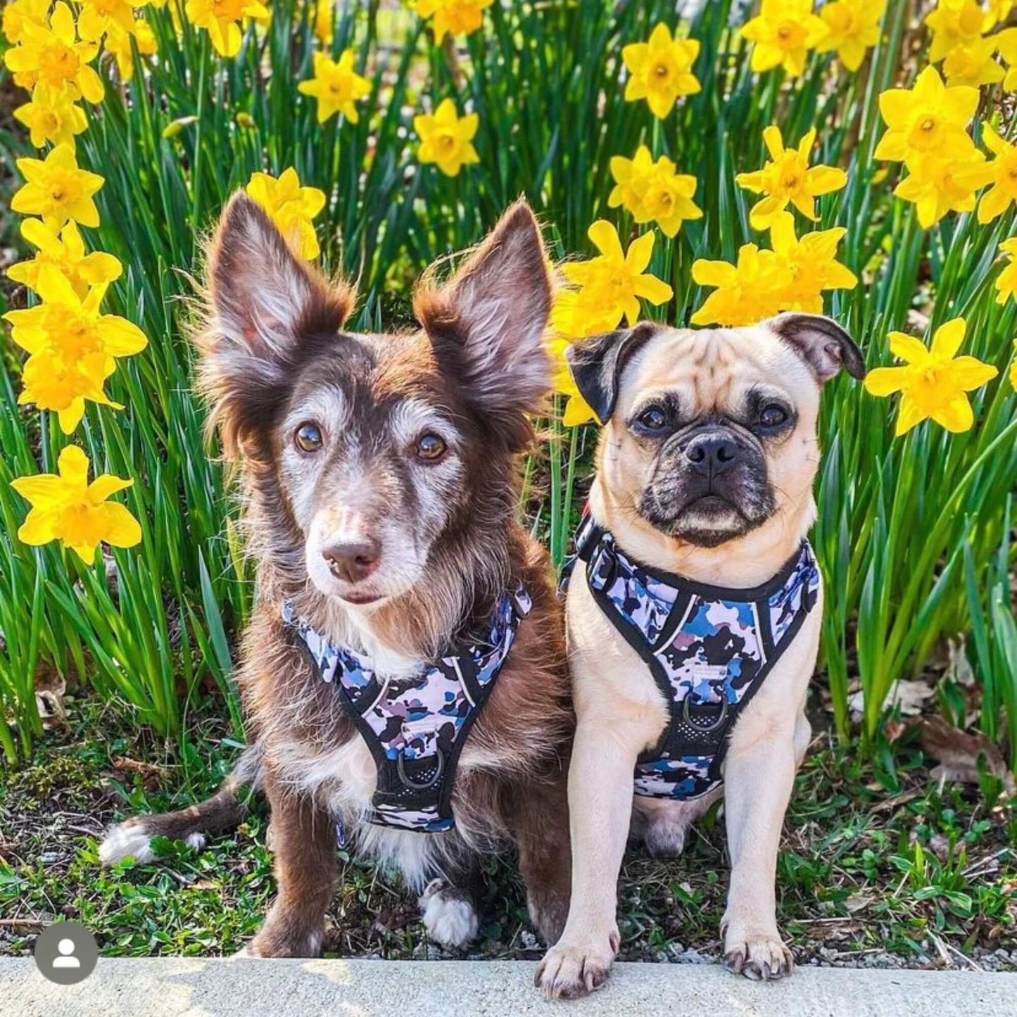 Grey Camo Dog Lead