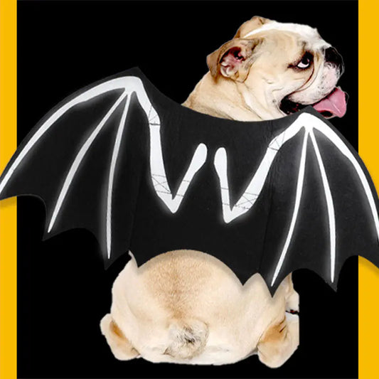 Luminous Dog Bat Wings Costume Transformation