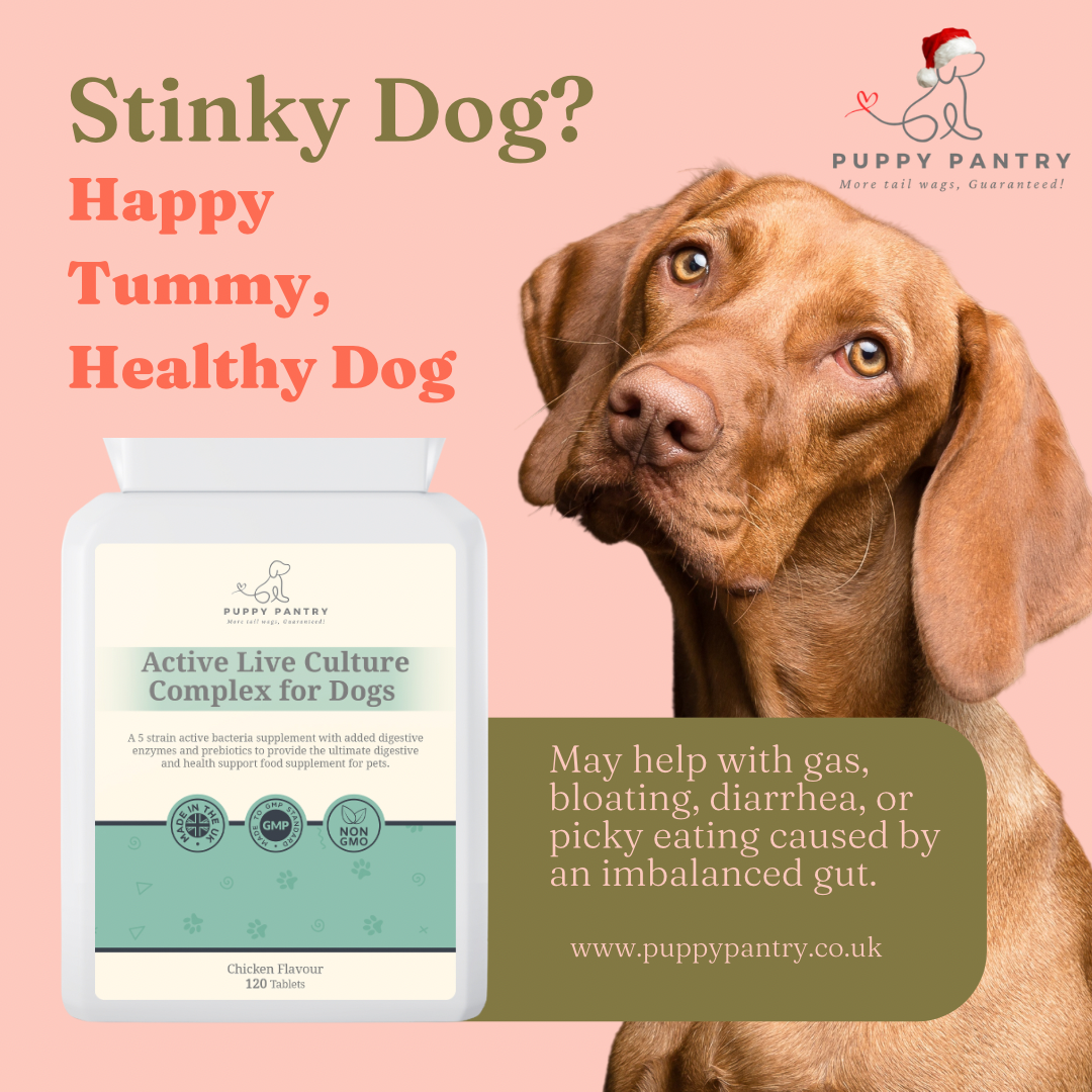 Gut Health Supplement for Dogs - Probiotics, Prebiotics, Enzymes - Chicken Flavor - 120 Tablets - Dog Digestive Support