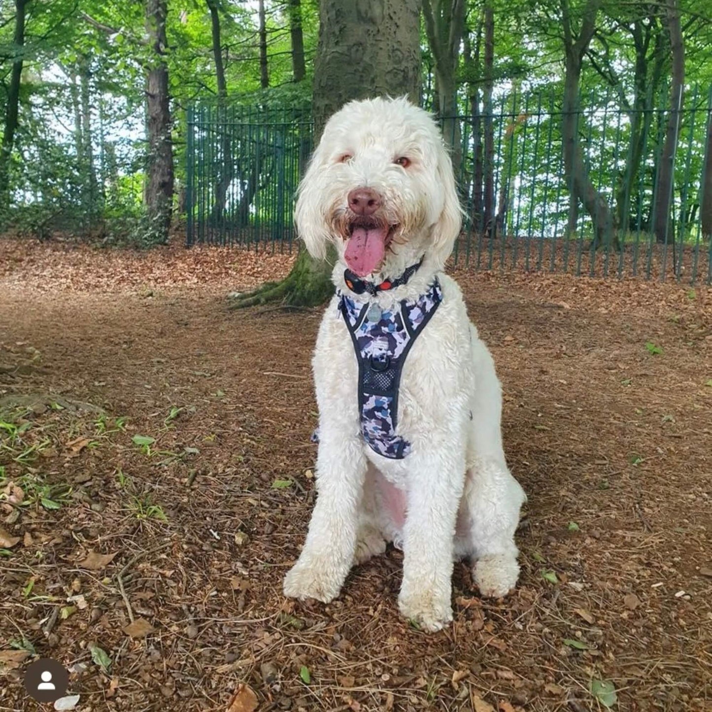Grey Camo Dog Lead