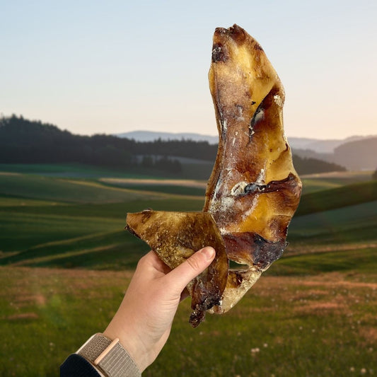 Moon Bone Beef Cartilage - Natural Dog Treat