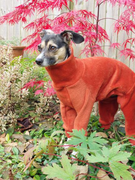 Fleece Lined Sweatshirt Suit - Stone & Rust