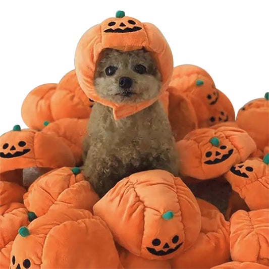 Cute Halloween Pumpkin Hat for Dogs