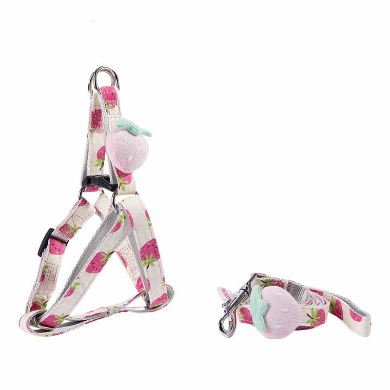 Fruit Series Dog Collar-4