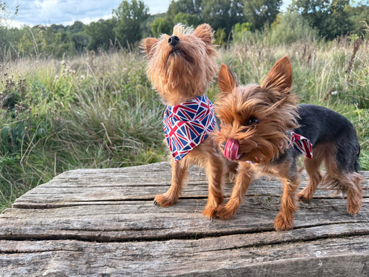 Union Jack Bandana - Handmade Double-Sided