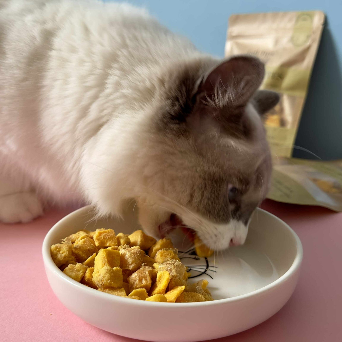 "Yolky Bites" 100% Freeze-Dried Egg Yolk- 40g Pouch