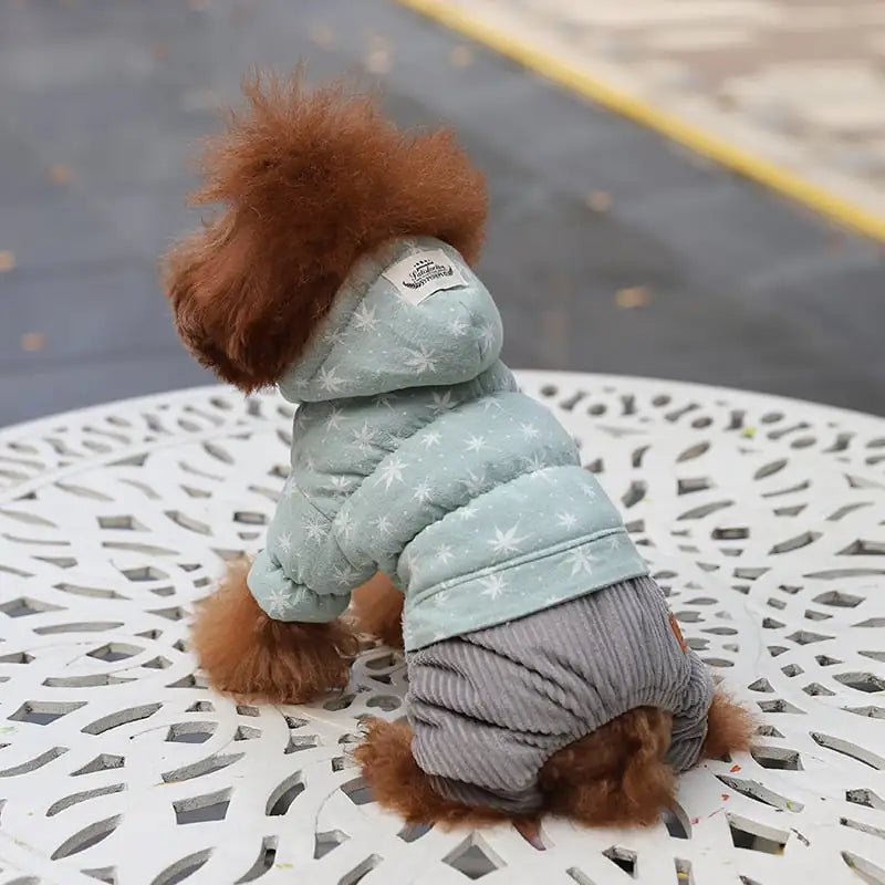 Cute Padded Four-Legged Clothes for Small Dogs