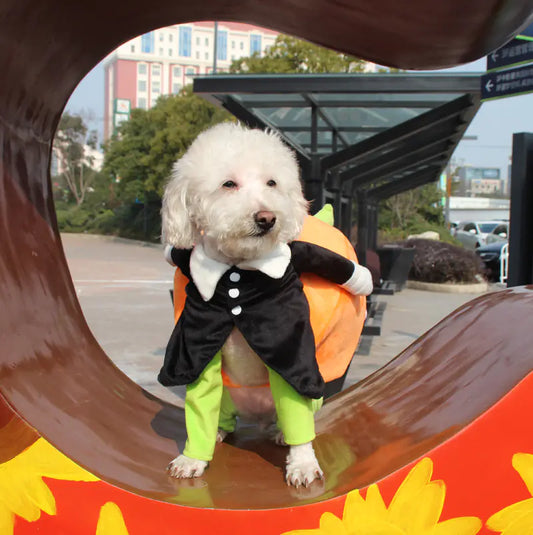 Halloween Pet Costume for Dogs - Pumpkin Outfit