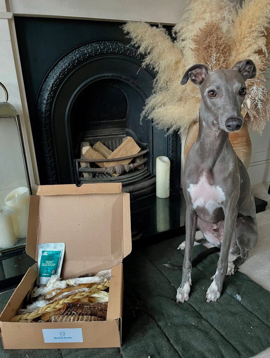 100% Natural Dog Treat Bundle Mini (Mystery Box) 15+ Treats!