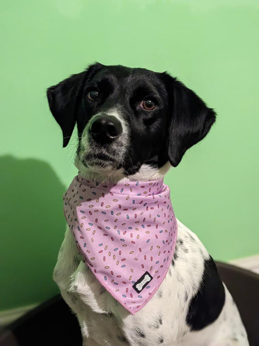 Sprinkles For Days Cooling Bandana - Pink