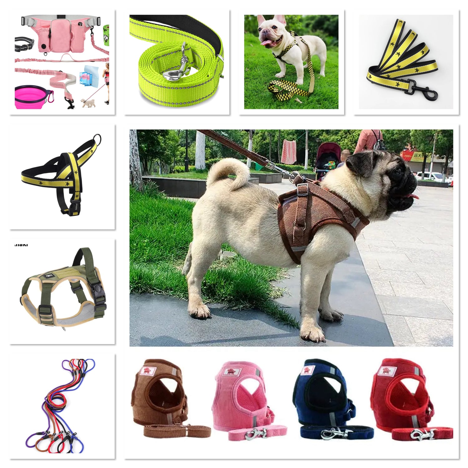 Woof - Leads & Collars