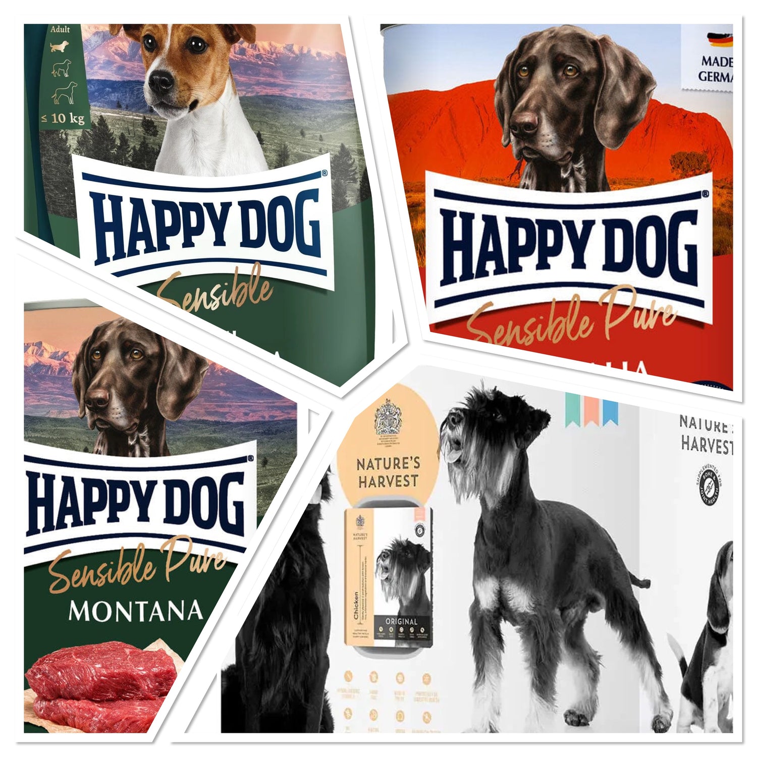 Woof - Food