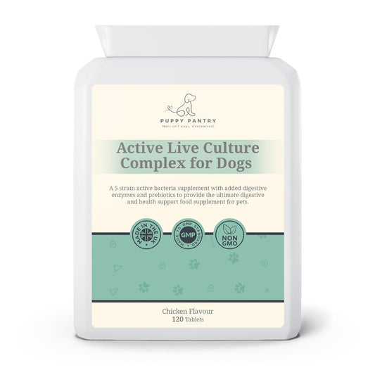 Gut Health Supplement for Dogs - Probiotics, Prebiotics, Enzymes - Chicken Flavor - 120 Tablets - Dog Digestive Support