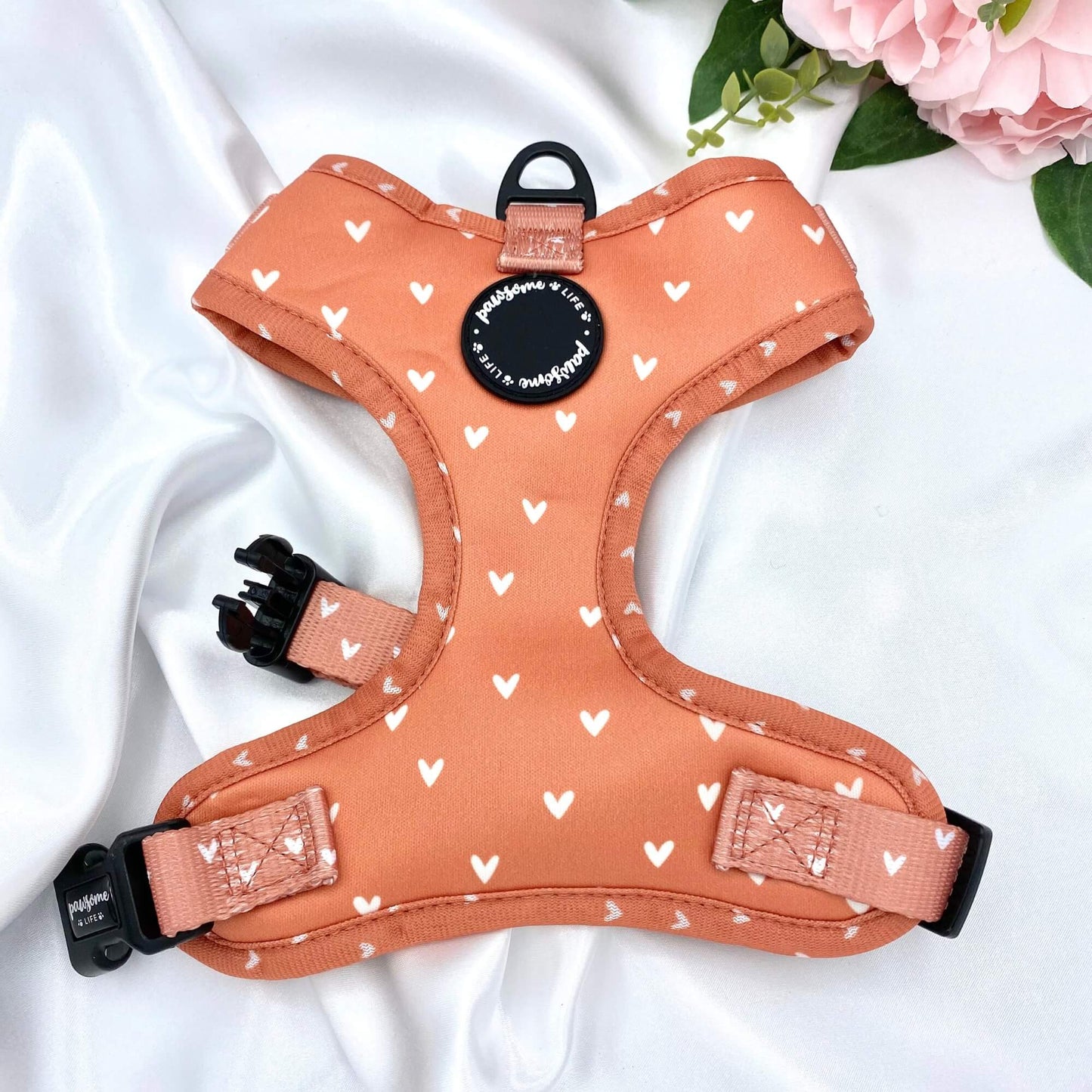 Cinnamon Hearts Dog Harness
