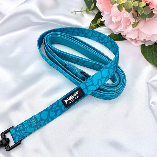 Dark Teal Dog Lead