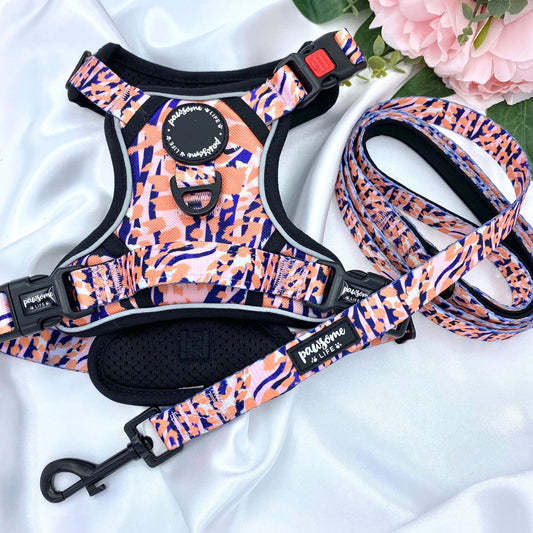Orange Leopard Dog Lead
