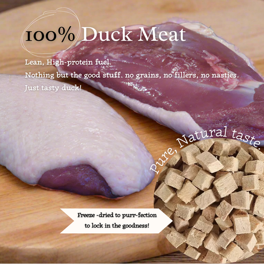 "Ducky Delights" 100% Freeze-Dried Duck Meat- 40g pouch