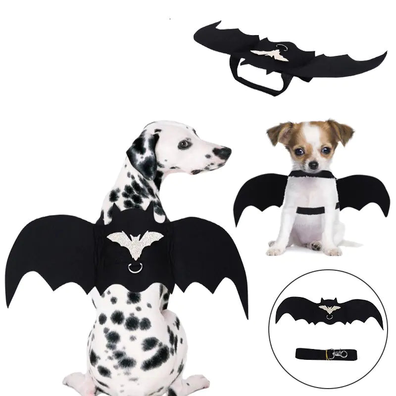 Halloween Pet Leash with Felt Bat Costume Design