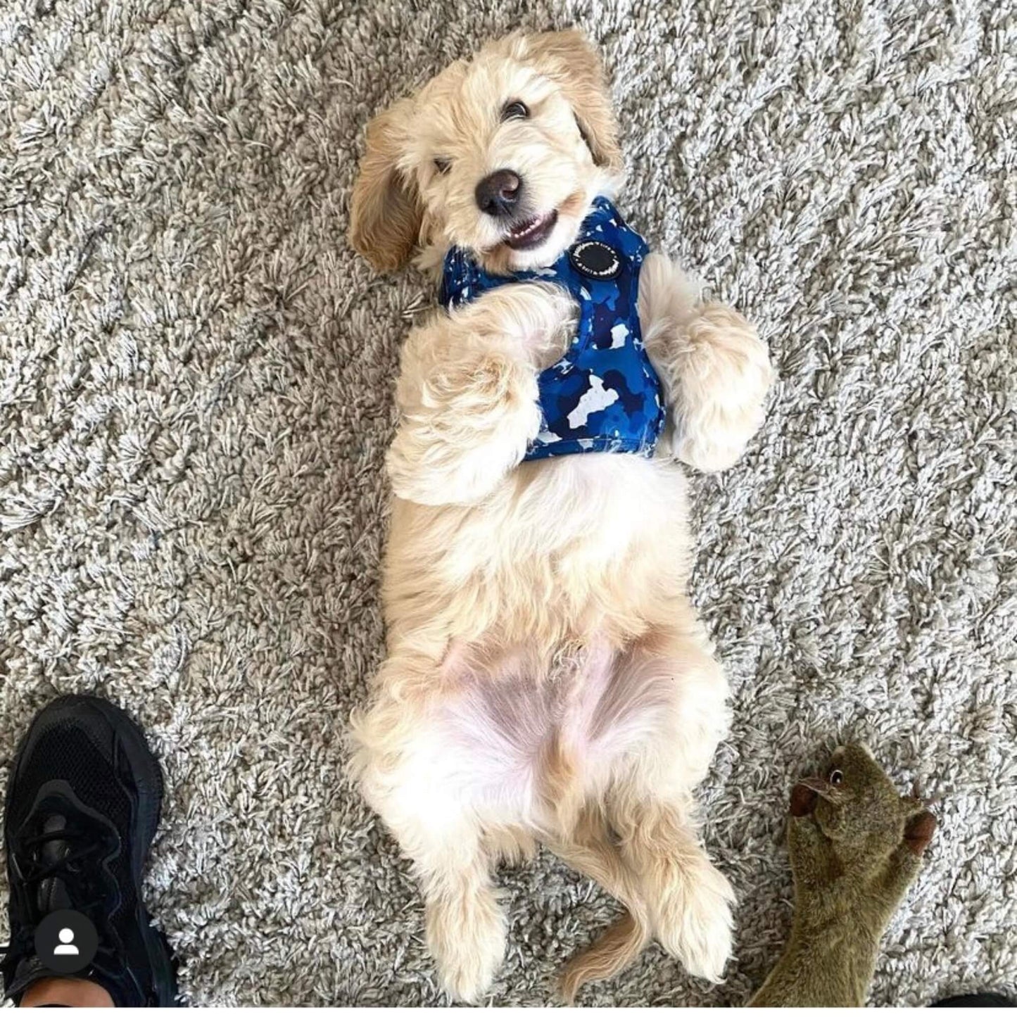 Blue Camo Dog Lead