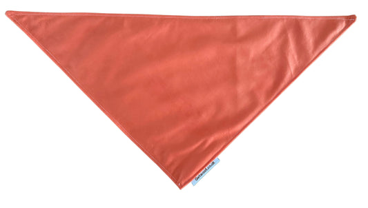 Rainbow Special Bandana