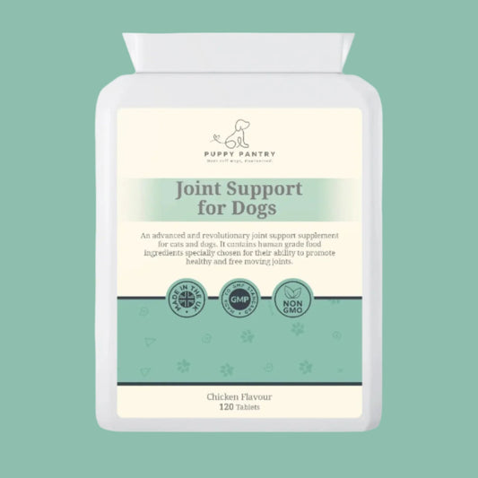 Dog Joint Support Tablets – Advanced Formula for Mobility & Comfort (BULK BUY 300 Tablets)