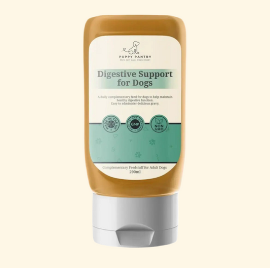 Probiotic Digestive Gravy – Beef (290ml)
Supports gut health, soothes sensitive stomachs, reduces gas & bloating