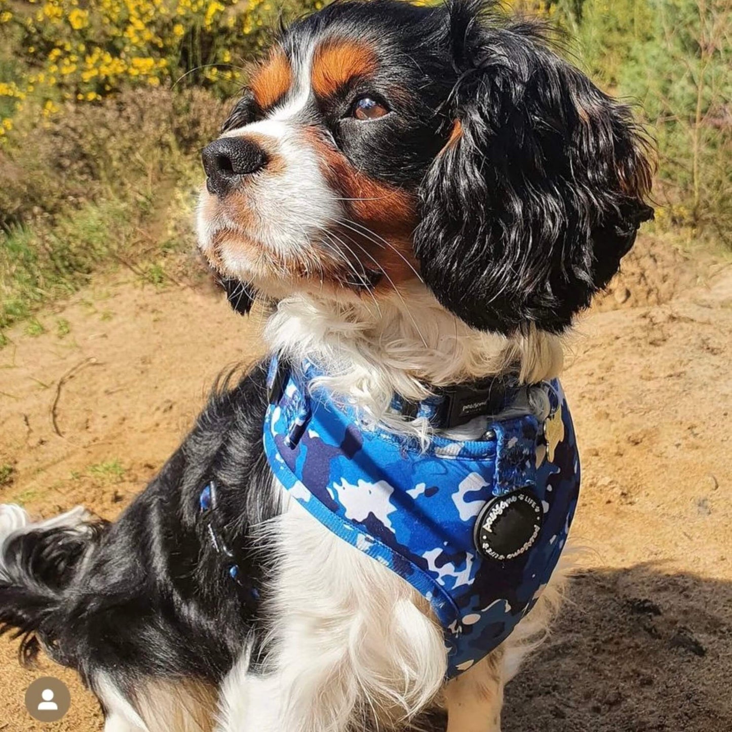 Blue Camo Dog Lead