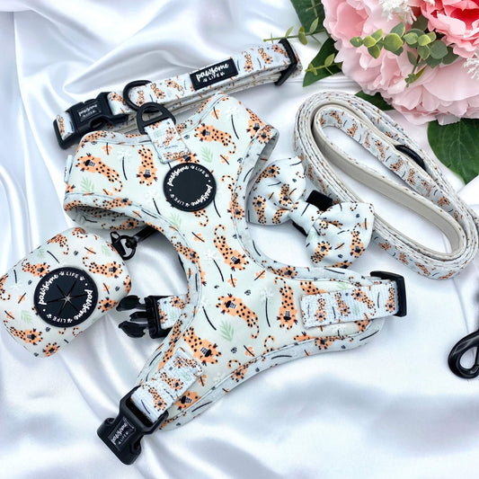 Be Wild Dog Collar