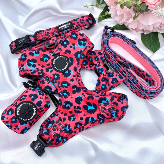 Sassy Leopard Dog Lead