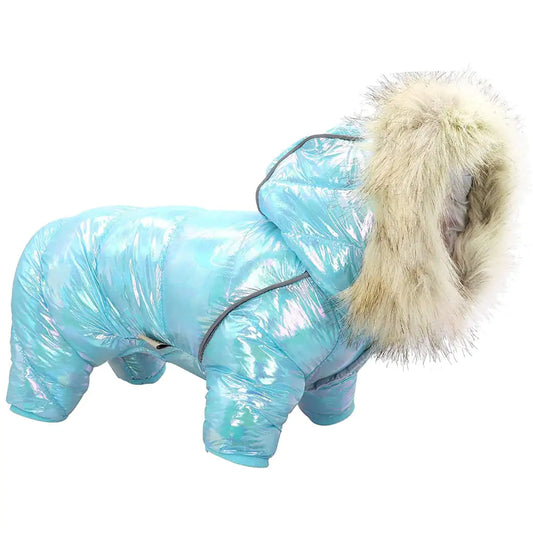 Colorful Dog Sweater with Buttoned Hat for Pets