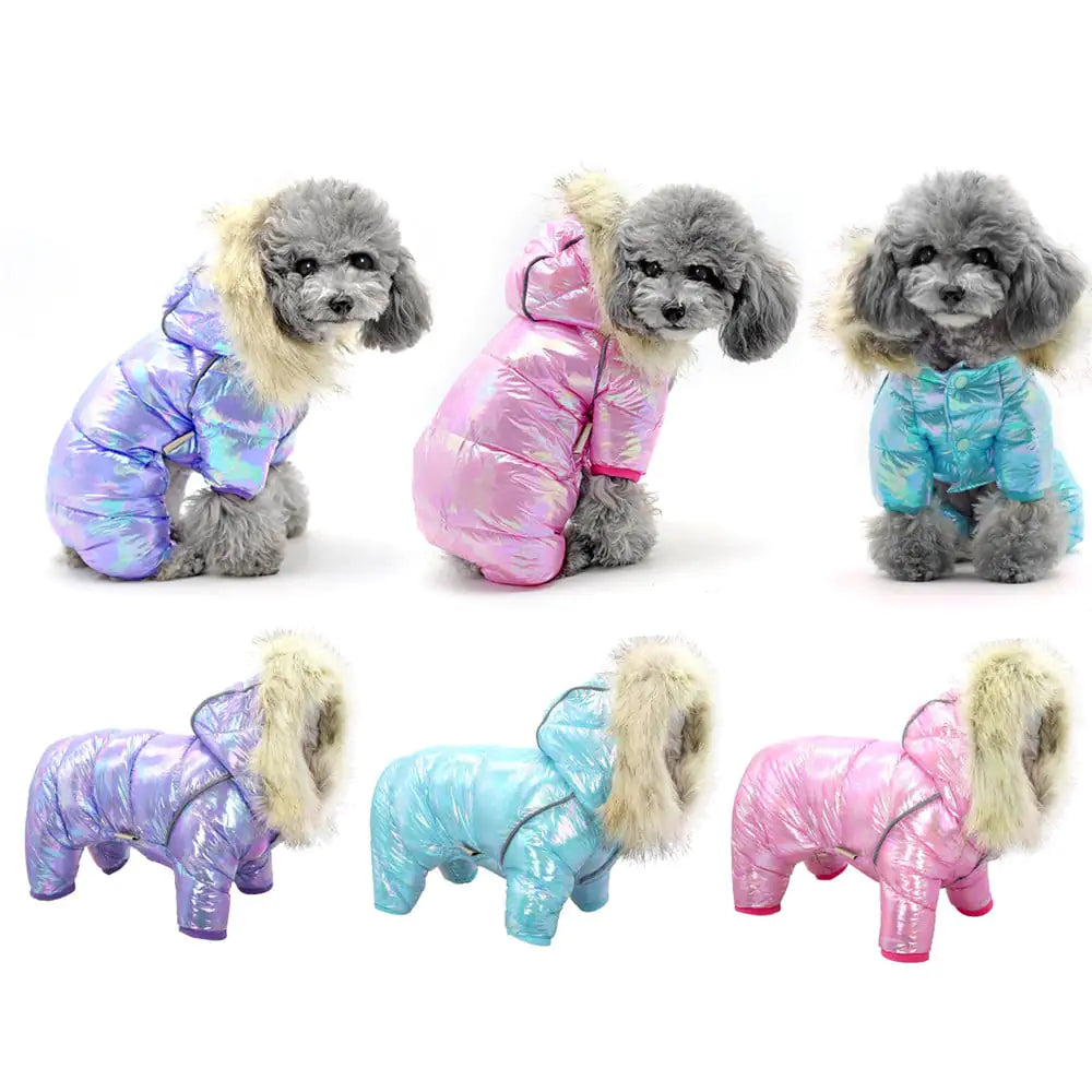 Colorful Dog Sweater with Buttoned Hat for Pets