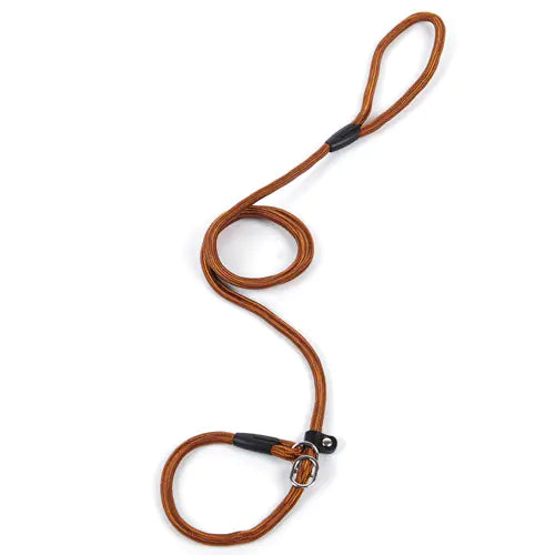 Dog Leash and Harness for Pets - New Style