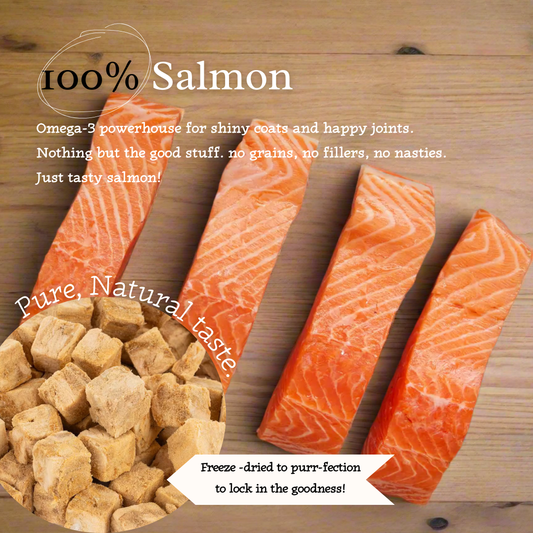"Salmon Swoon" 100% Freeze-Dried Salmon- 40g Pouch