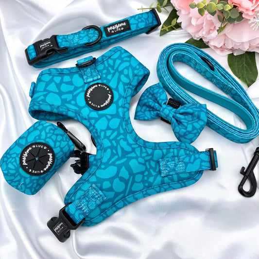 Dark Teal Dog Collar
