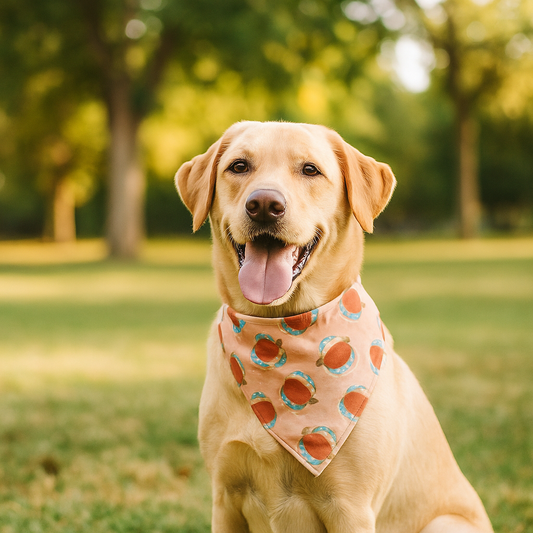 Halloween Special Bandana