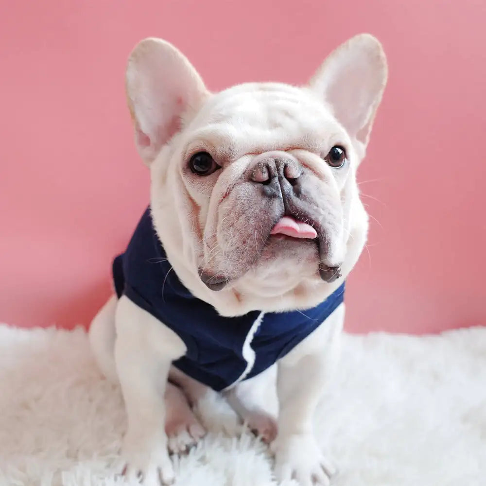 Warm Cotton Coat for Dogs with Thickened Velvet Vest