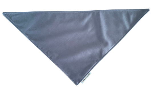 Rainbow Special Bandana