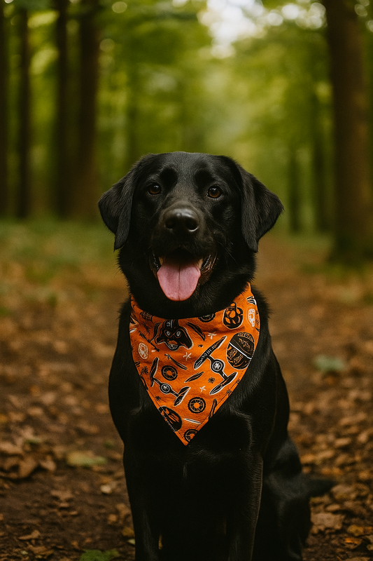 Halloween Special Bandana