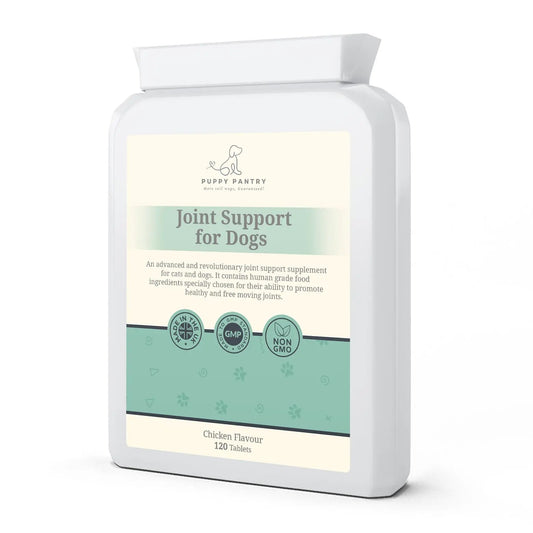 Joint Support Tablets for Dogs of All Ages - Glucosamine, Chondroitin, MSM for Mobility & Comfort - 120 Chicken Flavor Tablets