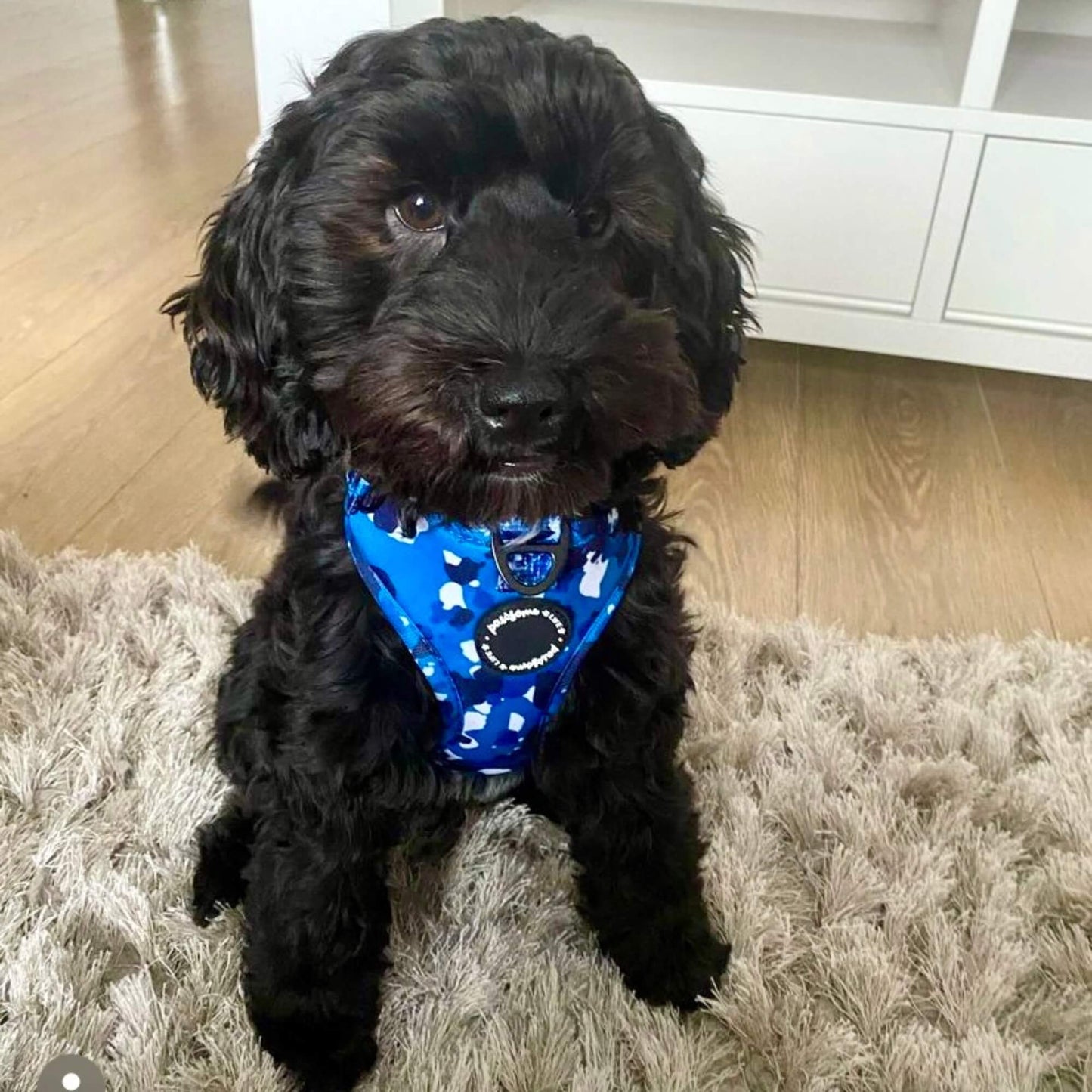 Blue Camo Dog Harness