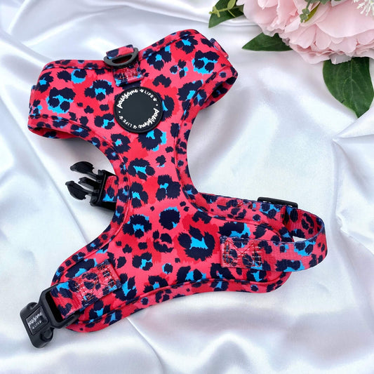 Sassy Leopard Dog Harness