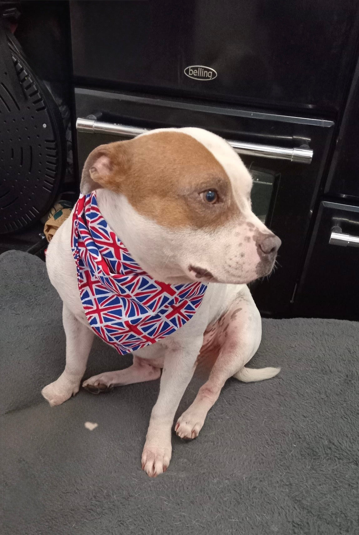 Union Jack Bandana - Handmade Double-Sided