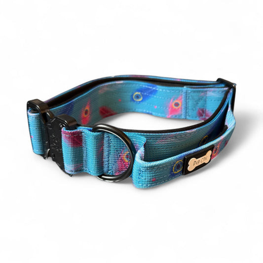 Power Peacock Tactical Dog Collar (M–XL) – Heavy-Duty Strength Meets Bold Style