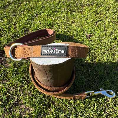 Tiny Trails 15mm Wide Suede Effect Lead with Neoprene Handle Lining Mocha