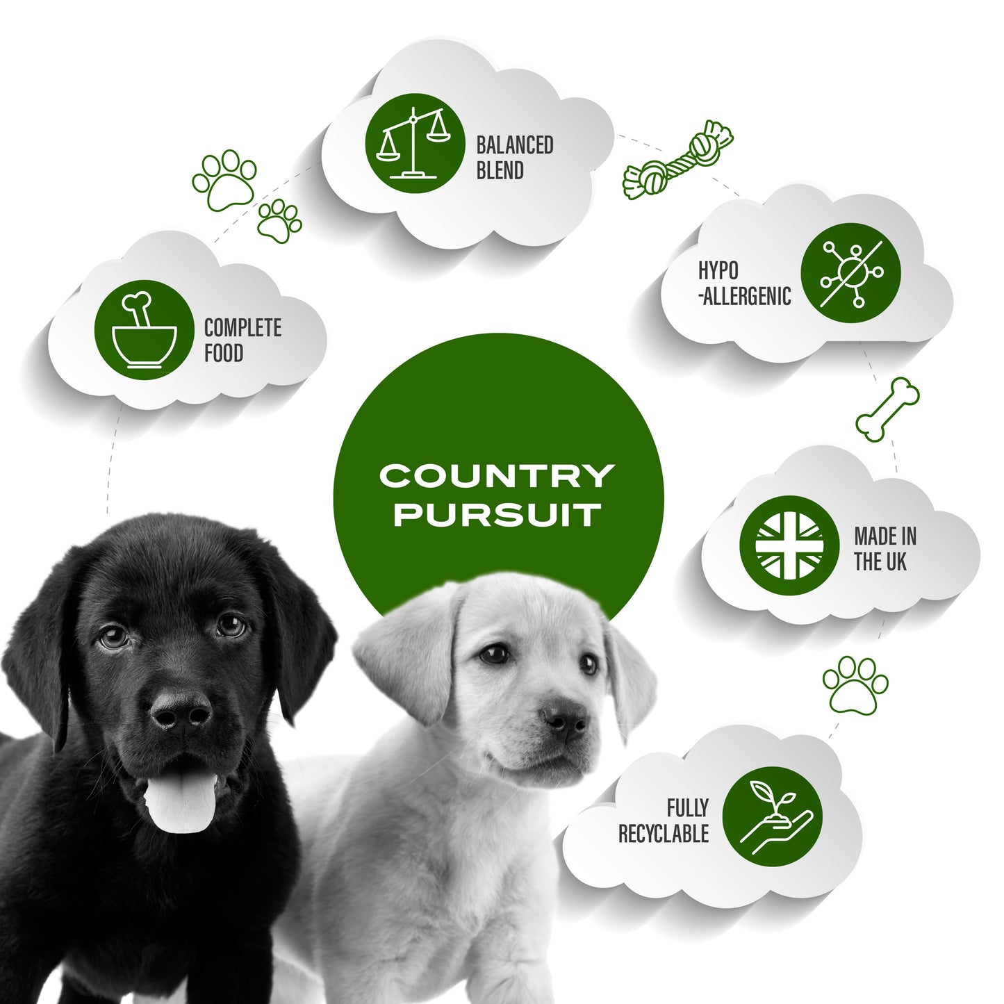 Premium Puppy Dry Dog Food