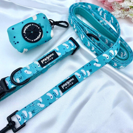 Teal Deal Dog Collar