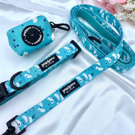 Teal Deal Dog Lead