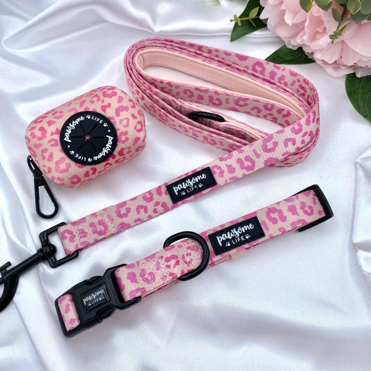 Ombre Leopard Dog Collar