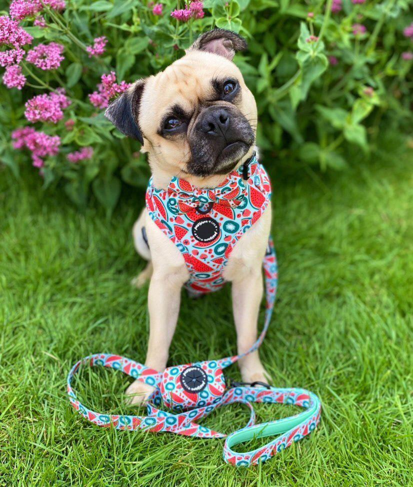 Bite Me! Dog Harness
